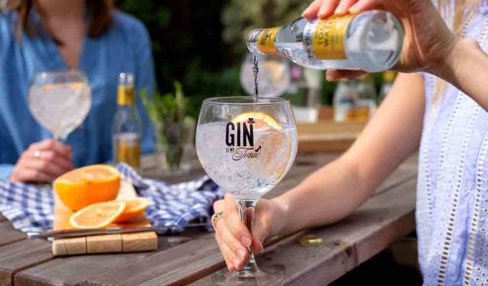 The Gin To My Tonic Festival The Exeter Daily